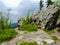 Pathway among trees and rocks in GÃ³ry Stolowe in Poland.