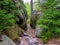 Pathway among trees and rocks in GÃ³ry Stolowe in Poland.
