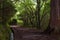 Pathway trought the forest along the levada