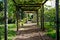 Pathway under arbour.