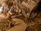 pathway underground cave in Laos, with stalagmites