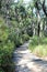 Pathway up to the Barrenjoey Lighthouse