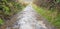 Pathway up to Knocknarea and Queen Maeve`s Tomb