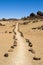 Pathway through volcanic land