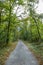 Pathway walking path in the forest in autumn