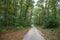 Pathway walking path in the forest in autumn