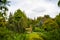 A pathway in a well tended garden, taken with tilt-shift effect.