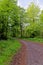 Pathway in West Woods - Marlborough