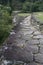 Pathways, Ciudad Perdida (Lost City), Columbia