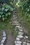 Pathways, Ciudad Perdida (Lost City), Columbia