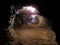 Pathways Inside a Dark Mine