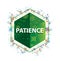 Patience floral plants pattern green hexagon button