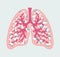 Patient-friendly floral scheme of Healthy human lungs and alveoli. Respiratory system - hand drawn medical diagram