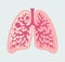 Patient-friendly scheme of TB damages in human lung. Anatomical Diagram of Tuberculosis. Respiratory system diseases