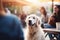 Patient Pooch: A Dog\\\'s Wait for His Owner in the City Cafe\\\'s Open Air Section