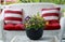 Patio Furniture and Colorful Pansies