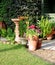 Patio garden area with Birdbath