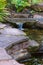 Patio Garden - Zen pond home garden