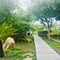 Patio scene. Table and chairs are hidden at the end of the wooden walkway in the garden .