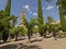 Patio with trees and bell tower of the mosque cathedral of Cordoba