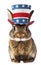 Patriot animal wearing a US Uncle Sam hat isolated on white transparent, USA presidential election