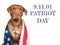 Patriot Day. Adorable puppy and American Flag