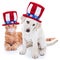 Patriotic American Pet Dog and Cat for July 4th and Memorial Day