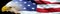 Patriotic bald eagle flag banner