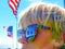 Patriotic California Boy Wearing Sunglasses Overlooking Malibu Beach