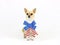 Patriotic Chihuahua on a White Background