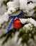 Patriotic Christmas ornament