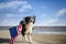 Patriotic dog running along the beach carrying the American flag