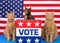 Patriotic election day cats at podium with vote sign