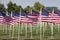 Patriotic Flag Display