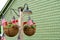 Patriotic hanging baskets in front of green building