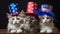 Patriotic Happy American Cat and Puppy in Red White Blue Flag Hat for July 4, USA , generative ai tools