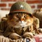 Patriotic Paws Cat in Antique American Army Uniform. Concept independence day and memorial day.