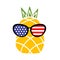 Patriotic pineapple icon isolated on white background. Symbol of 4th of July. American Flag. Merica sunglasses, stamp, tattoo,