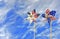 Patriotic pinwheel with sky background