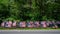 Patriotic roadside display of American flags on a sunny summer day