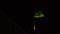 Patriotic symbol of Ukrainian lands fluttering in the wind in the dark sky