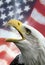 Patriotic Symbols - USA - Eagle