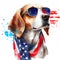 Patriotic USA Flag, Beagle dog wearing sunglasses and scarf, Watercolor style isolated on white background.