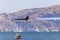 Patriots Jet Team aerobatic team Aero L-39 Albatros jet flying over the San Francisco Bay in California, USA