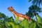 Pattaya,Thailand- April 14,2018: Carnotaurus model in a tropical
