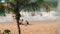 Pattaya, Thailand - December 25, 2017: Little boy in a swimming suit makes something of sand with his mother. Beach with