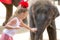 Pattaya, Thailand : Little girl and little elephant.