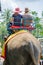 Pattaya, Thailand : Tourists riding the elephant