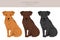 Patterdale terrier broken haired clipart. All coat colors set. All dog breeds characteristics infographic