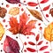 Pattern from autumn leaves painted with watercolors on white background. Coloured bright leaves hand-painted, paint